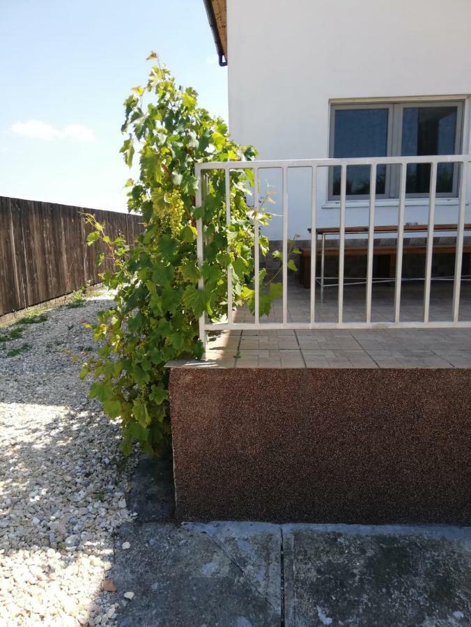 Vila Ekooos Braşov Exterior foto