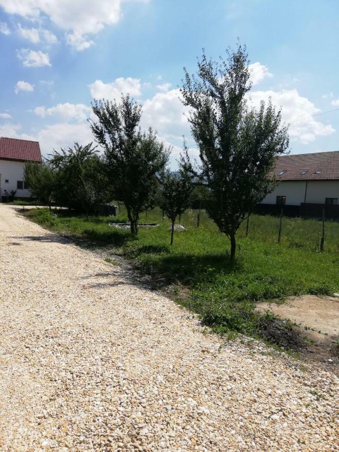 Vila Ekooos Braşov Exterior foto
