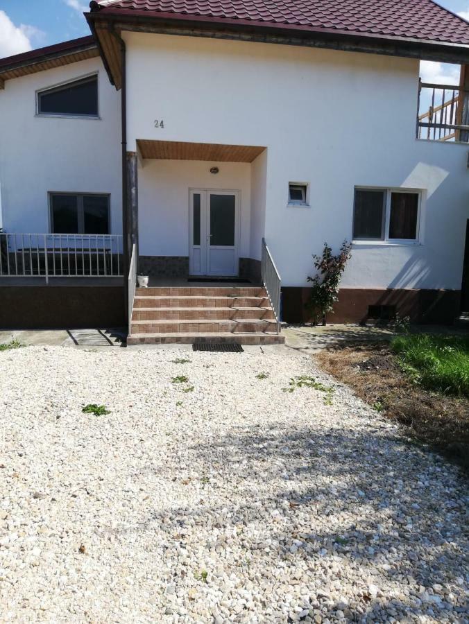 Vila Ekooos Braşov Exterior foto